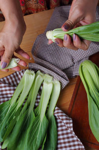 High angle view of woman holding vegetables