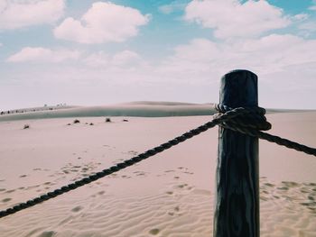View of the dunes by the baltic sea