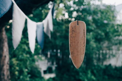 Close-up of paper hanging on tree in yard