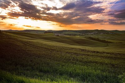 Scenic view of field against sky during sunset