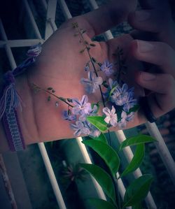 flower