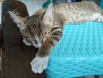 High angle view of cat sleeping on chair