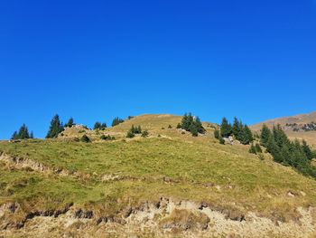 Scenic view of landscape against clear blue sky