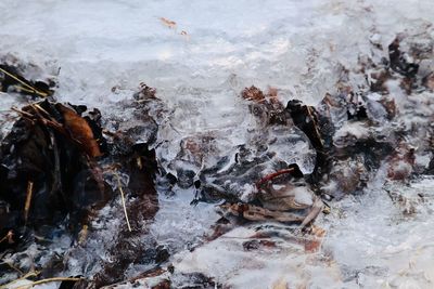 High angle view of frozen river