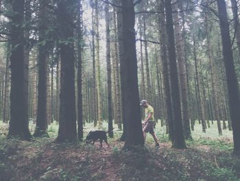 Man walking with dog by trees in forest