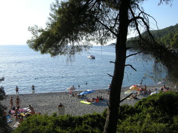 Boats in sea