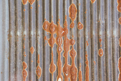 Full frame shot of rusty corrugated iron