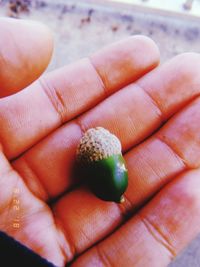 Close-up of hand holding fruit