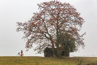 March is the season of red silk cotton in my hometown,