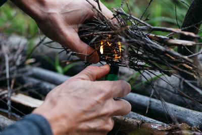 Cropped hands of person burning firewood