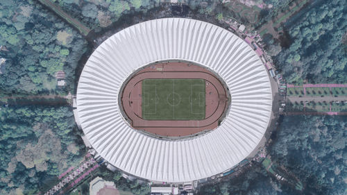 Directly above shot of soccer stadium and trees