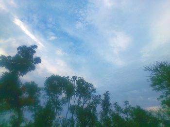 Low angle view of trees against cloudy sky