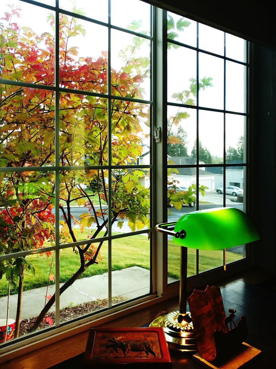 POTTED PLANTS ON CHAIR AT HOME