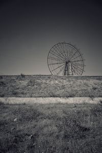 Plant on field against clear sky