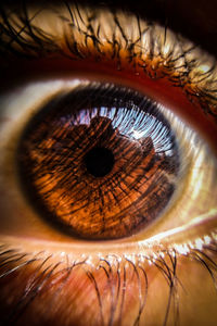 Close-up of human eye