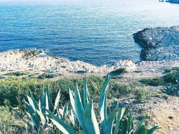 Scenic view of sea