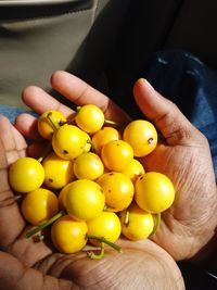 Close-up of hand holding fruits