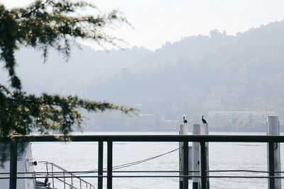 Bird perching on railing by sea against sky