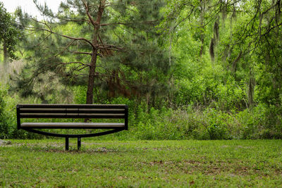 Empty bench in park