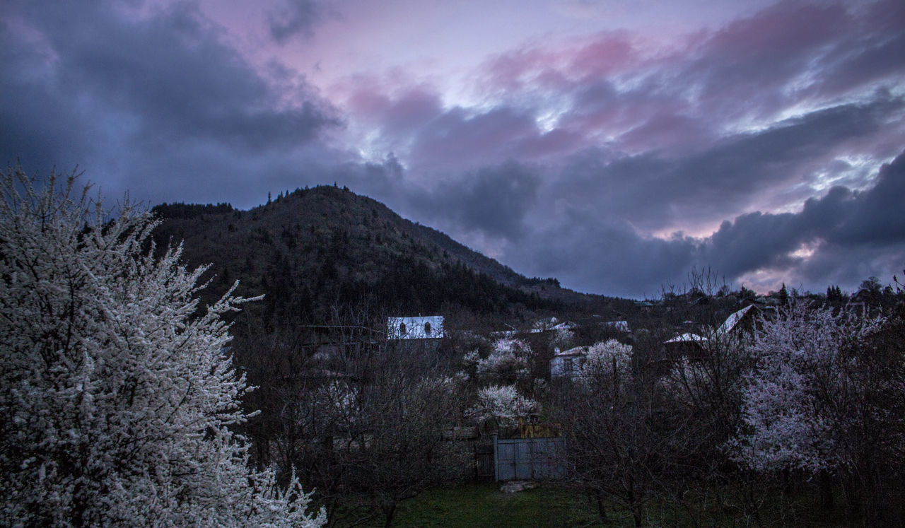 HOUSES AND TREES AGAINST SKY AT DUSK