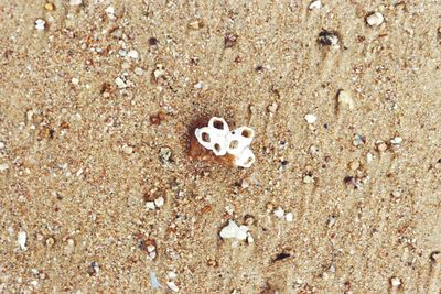 High angle view of sand on beach