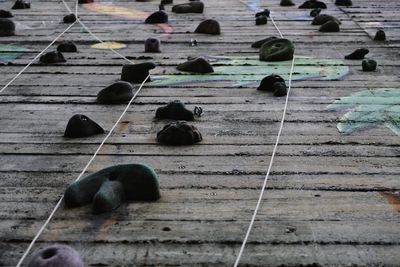 High angle view of stones on wooden floor