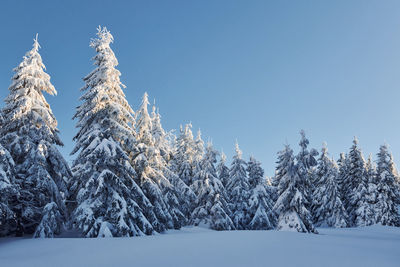 Clear blue sky.