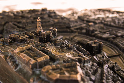 Close-up of plant against white background