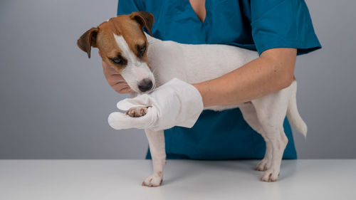 Midsection of man with dog