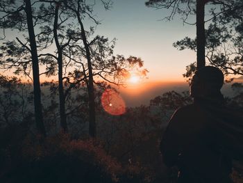 Silhouette man standing by trees against sky during sunset