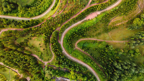 High angle view of agricultural landscape