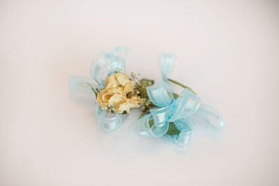 Close-up of flowers in glass over white background