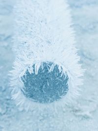 Close-up of snowflakes