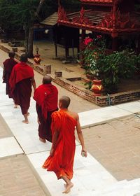 Rear view of a young woman