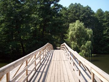 Footbridge over lake in forest