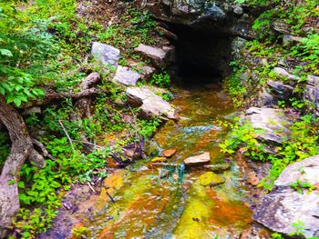 View of rocks in water