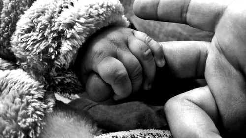 Cropped image of baby holding parent finger