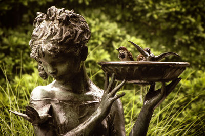 Close-up of statue against trees