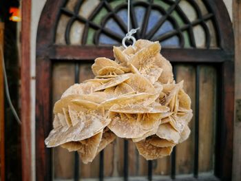 Close-up of dry leaf hanging on wood