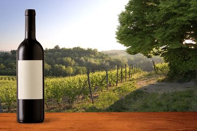 Green bottles on field by trees against sky