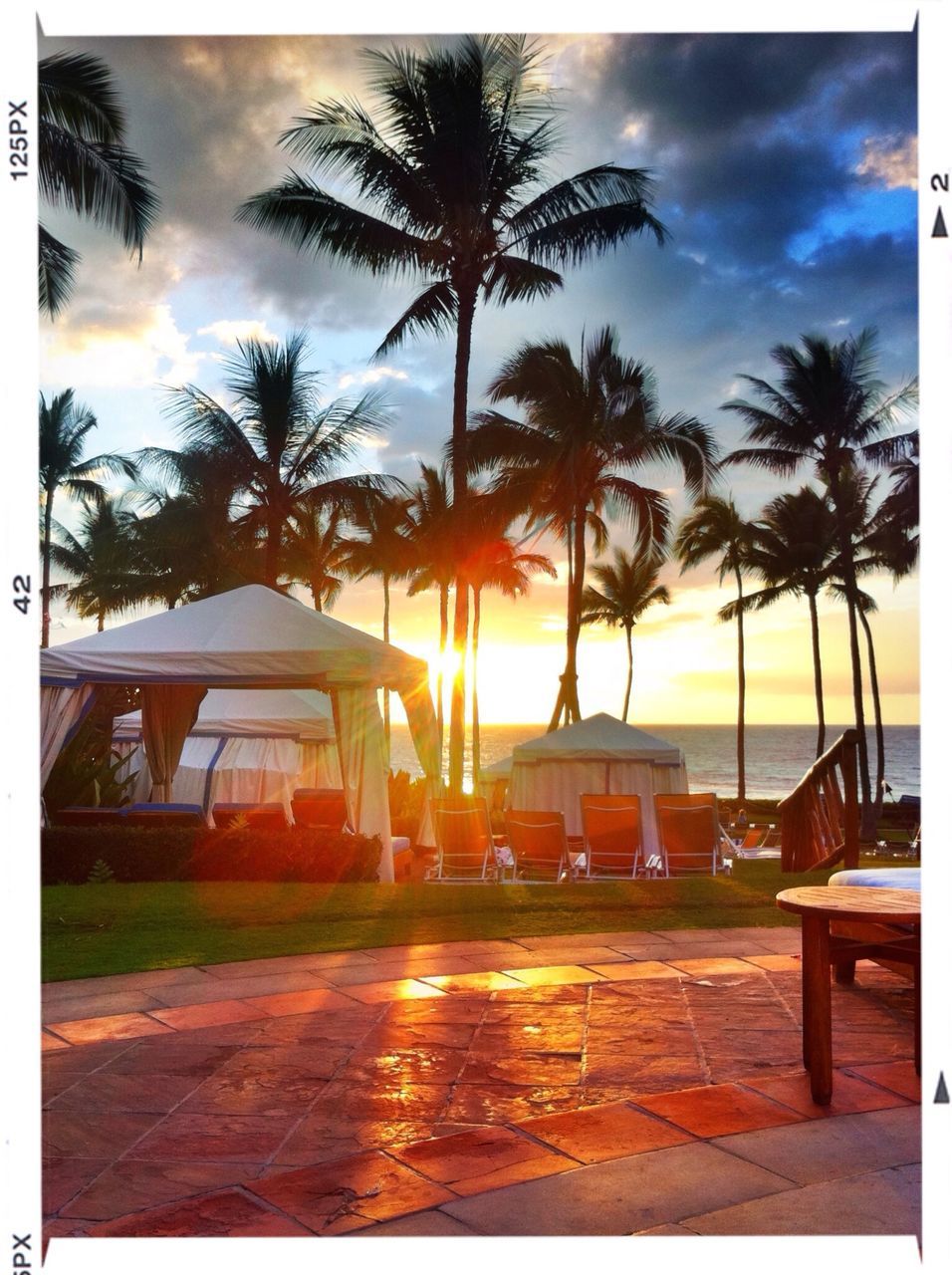 transfer print, sky, palm tree, tree, cloud - sky, auto post production filter, sunset, cloud, built structure, cloudy, sunlight, architecture, building exterior, nature, silhouette, incidental people, outdoors, tranquility, water, beauty in nature