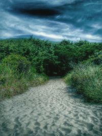 Dirt road passing through landscape