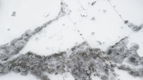 Close-up of snow covered land