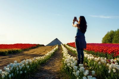 Rear view of woman photographing on field against sky