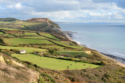 Golden cap mountain in dorset 