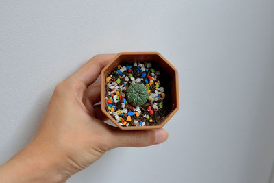 Midsection of person holding multi colored candies