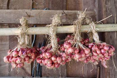 Close-up of pink fruits hanging on wood