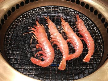 High angle view of fish on barbecue grill