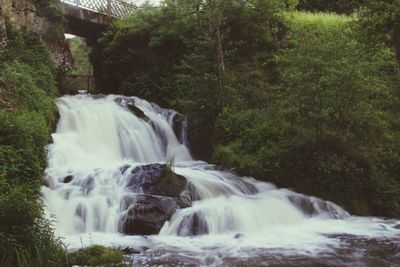 View of waterfall in forest