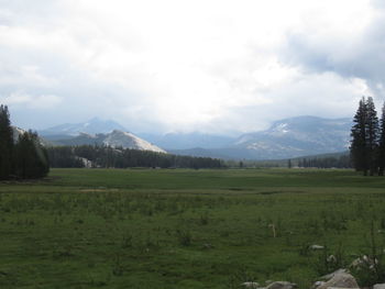 Scenic view of green landscape and mountains against sky